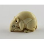 NETSUKE RATTE, Elfenbein, das sitzende