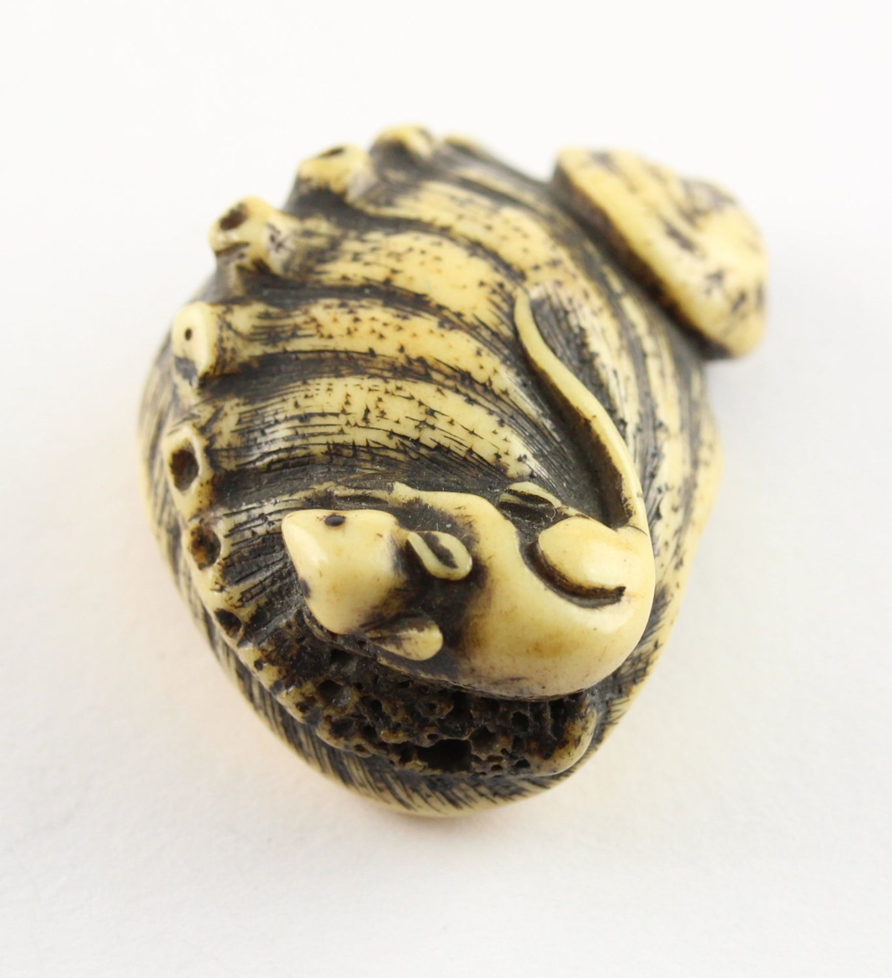 NETSUKE GROSSE AWABI, Hirschhorn, auf - Bild 3 aus 4