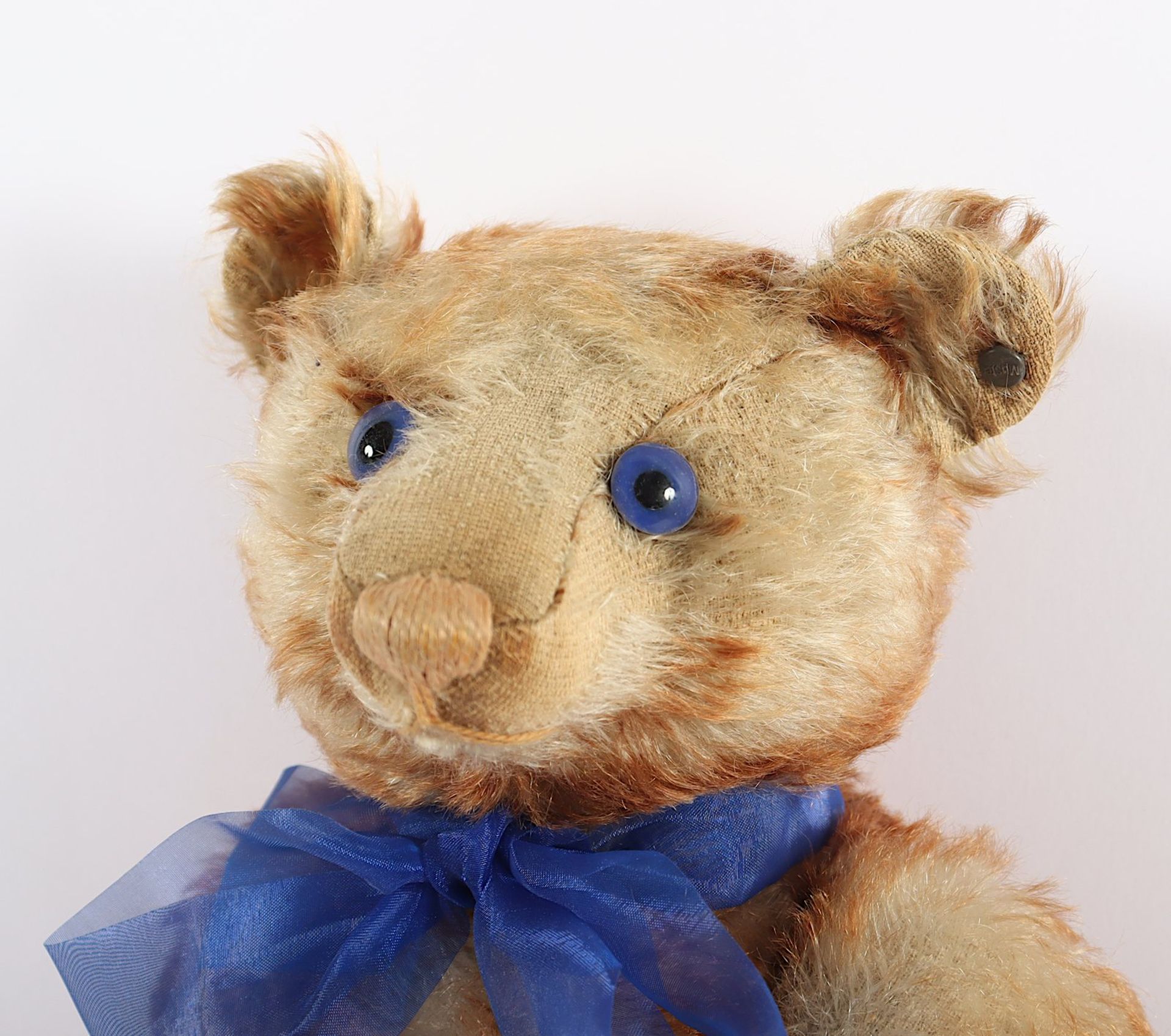 SELTENER TEDDY-BÄR, - Image 3 of 3