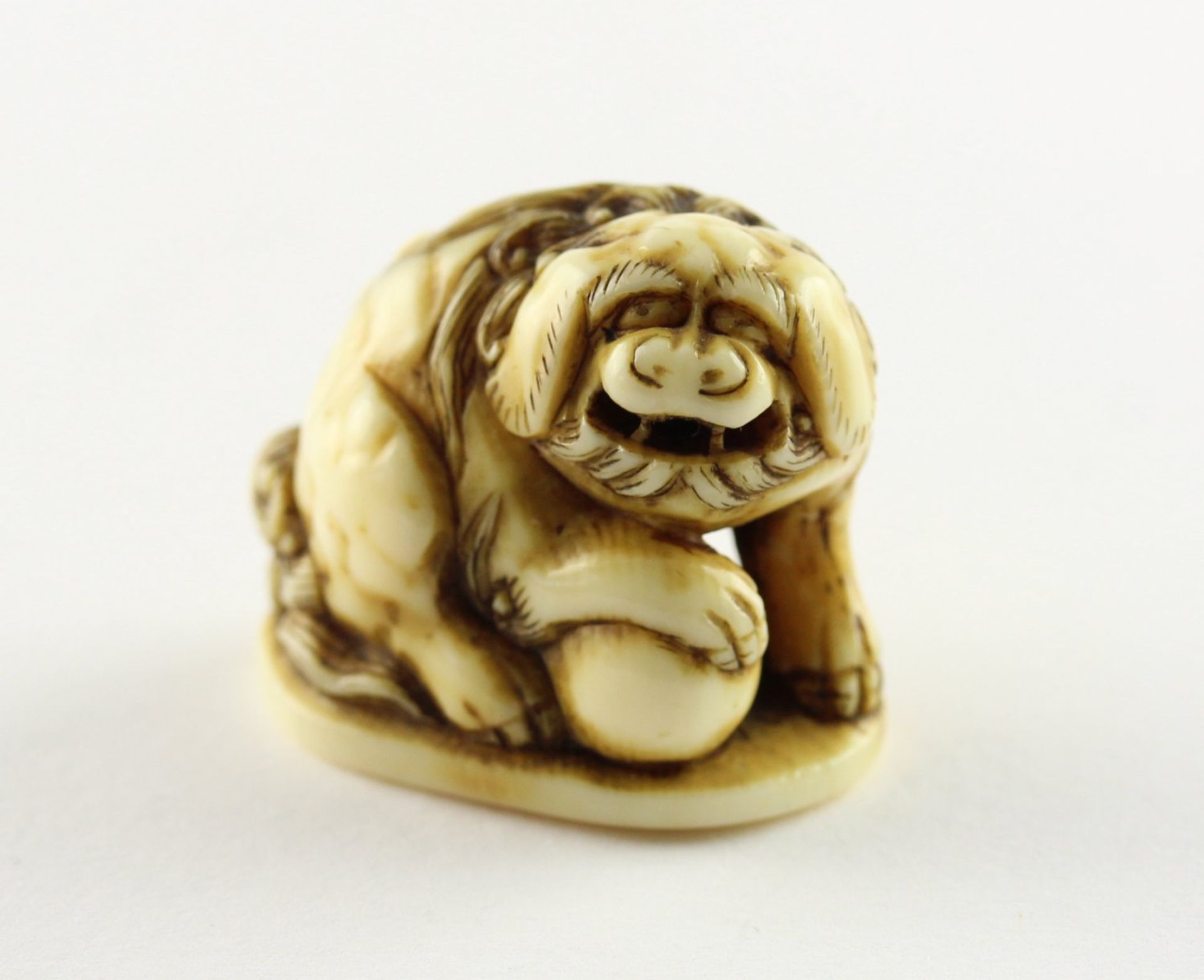 NETSUKE SHISHI MIT BALL, Elfenbein,