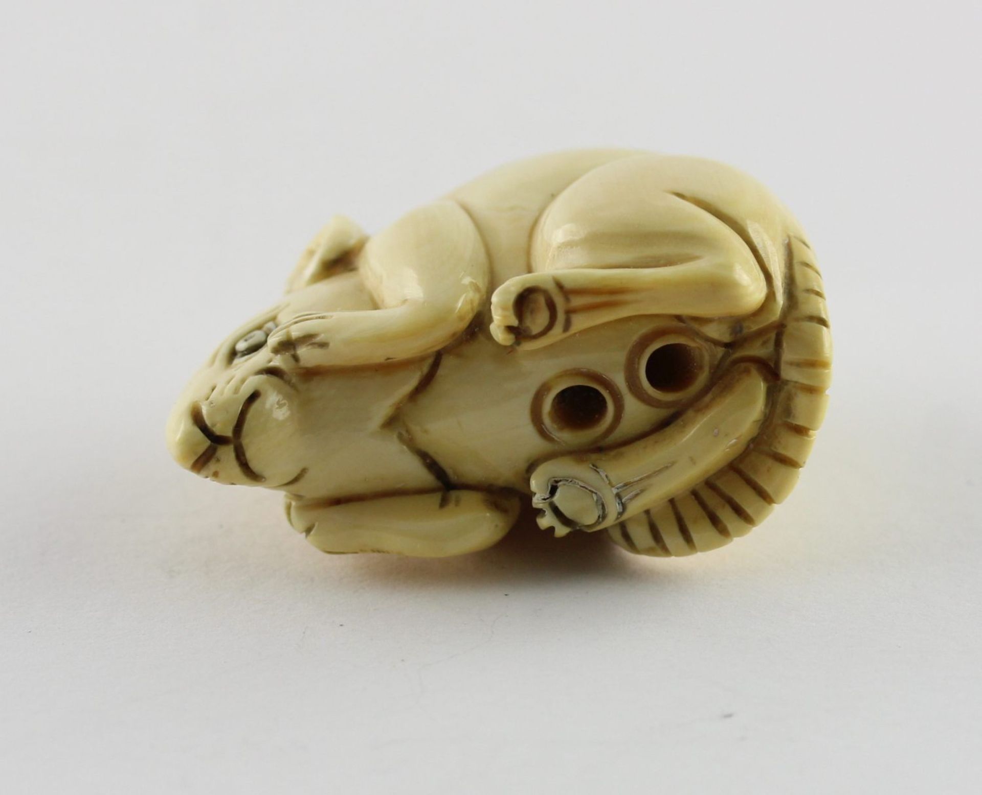 NETSUKE RATTE, Elfenbein, das sitzende - Bild 5 aus 5