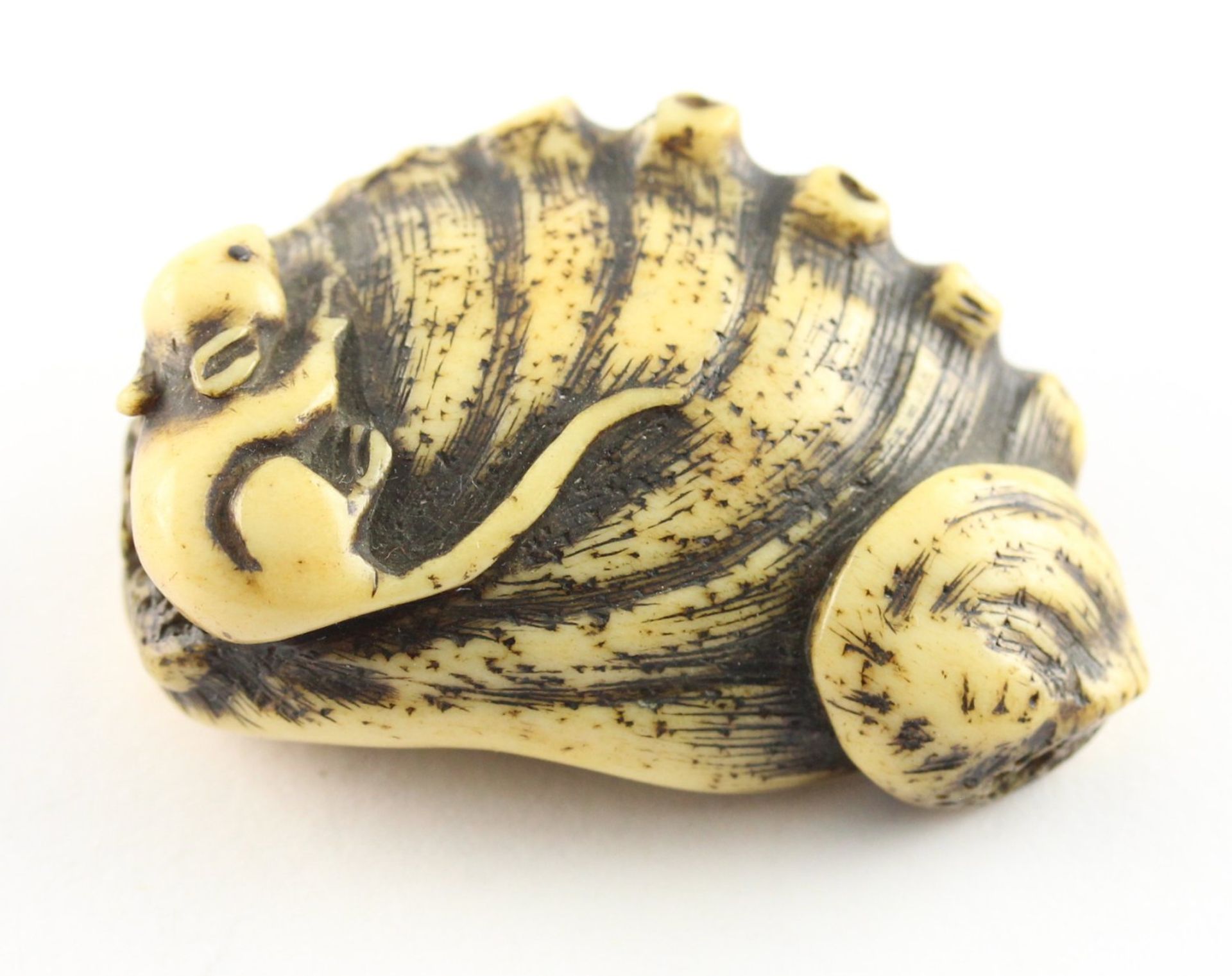 NETSUKE GROSSE AWABI, Hirschhorn, auf - Bild 4 aus 4