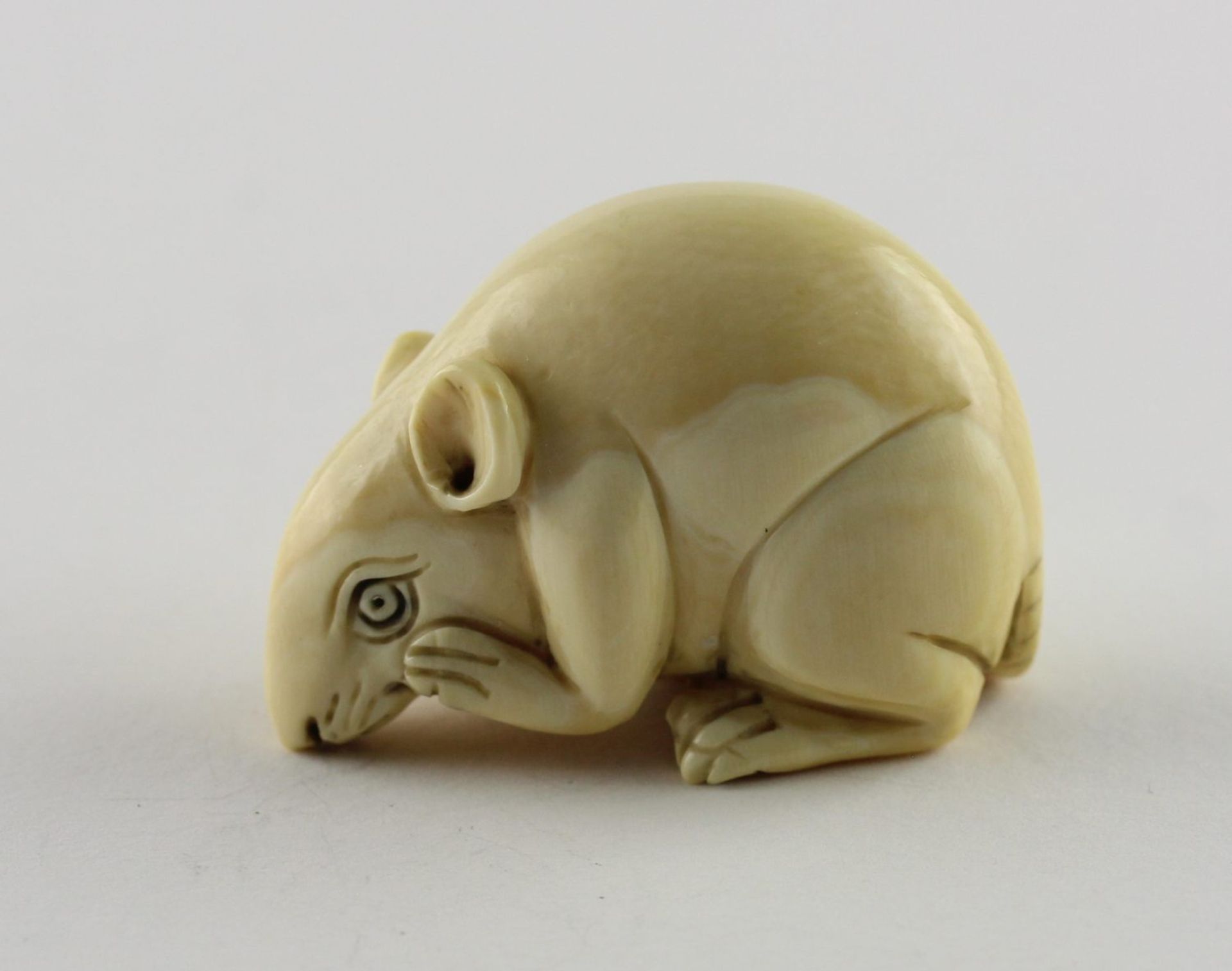 NETSUKE RATTE, Elfenbein, das sitzende