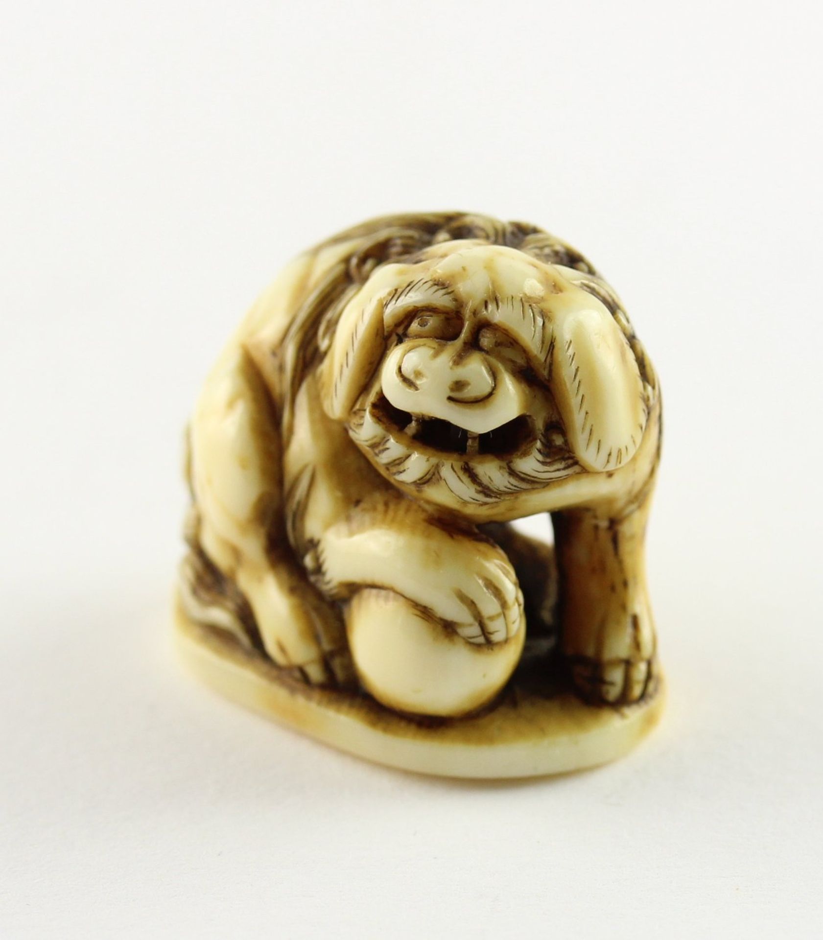 NETSUKE SHISHI MIT BALL, Elfenbein, - Bild 4 aus 5