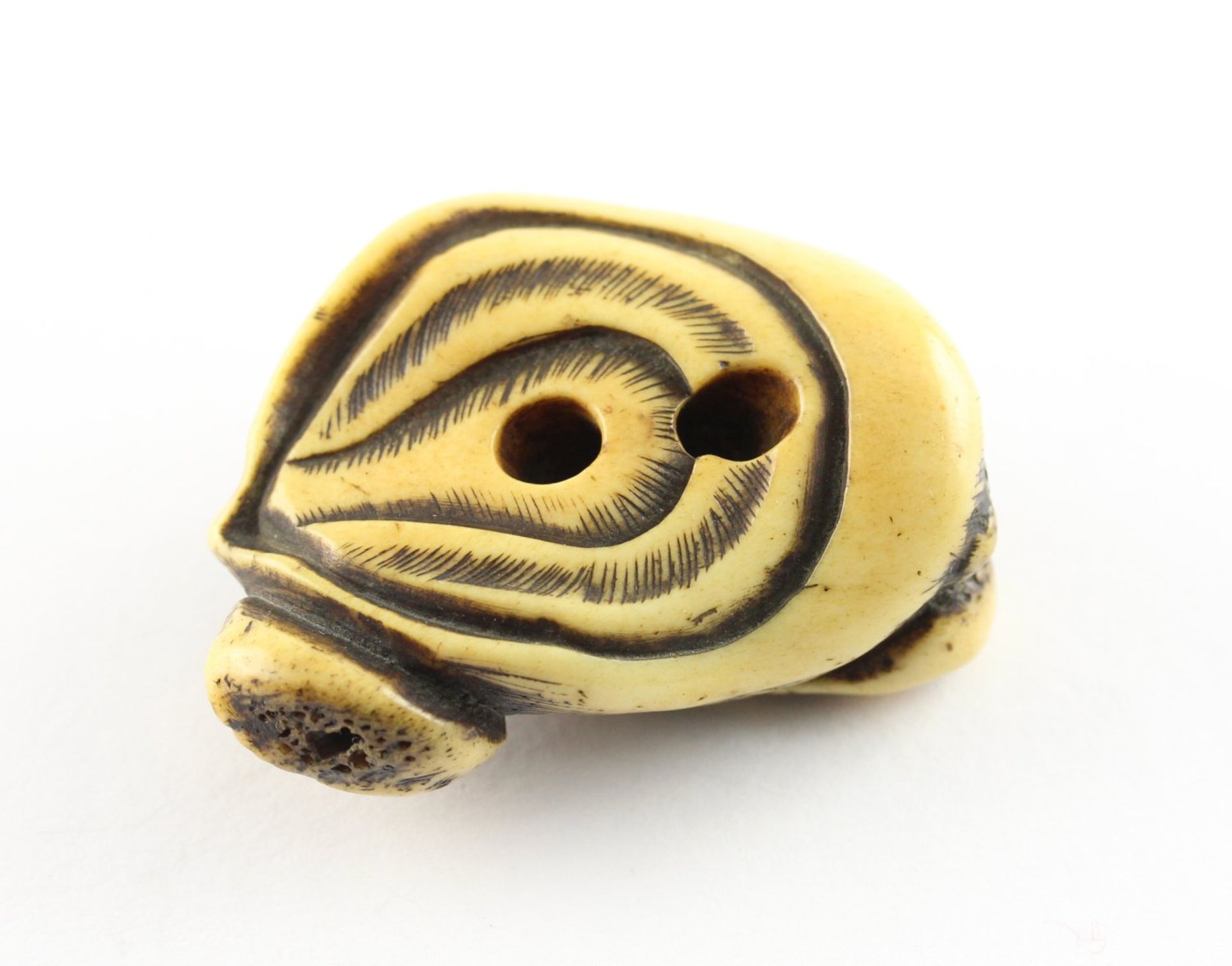 NETSUKE GROSSE AWABI, Hirschhorn, auf - Bild 2 aus 4