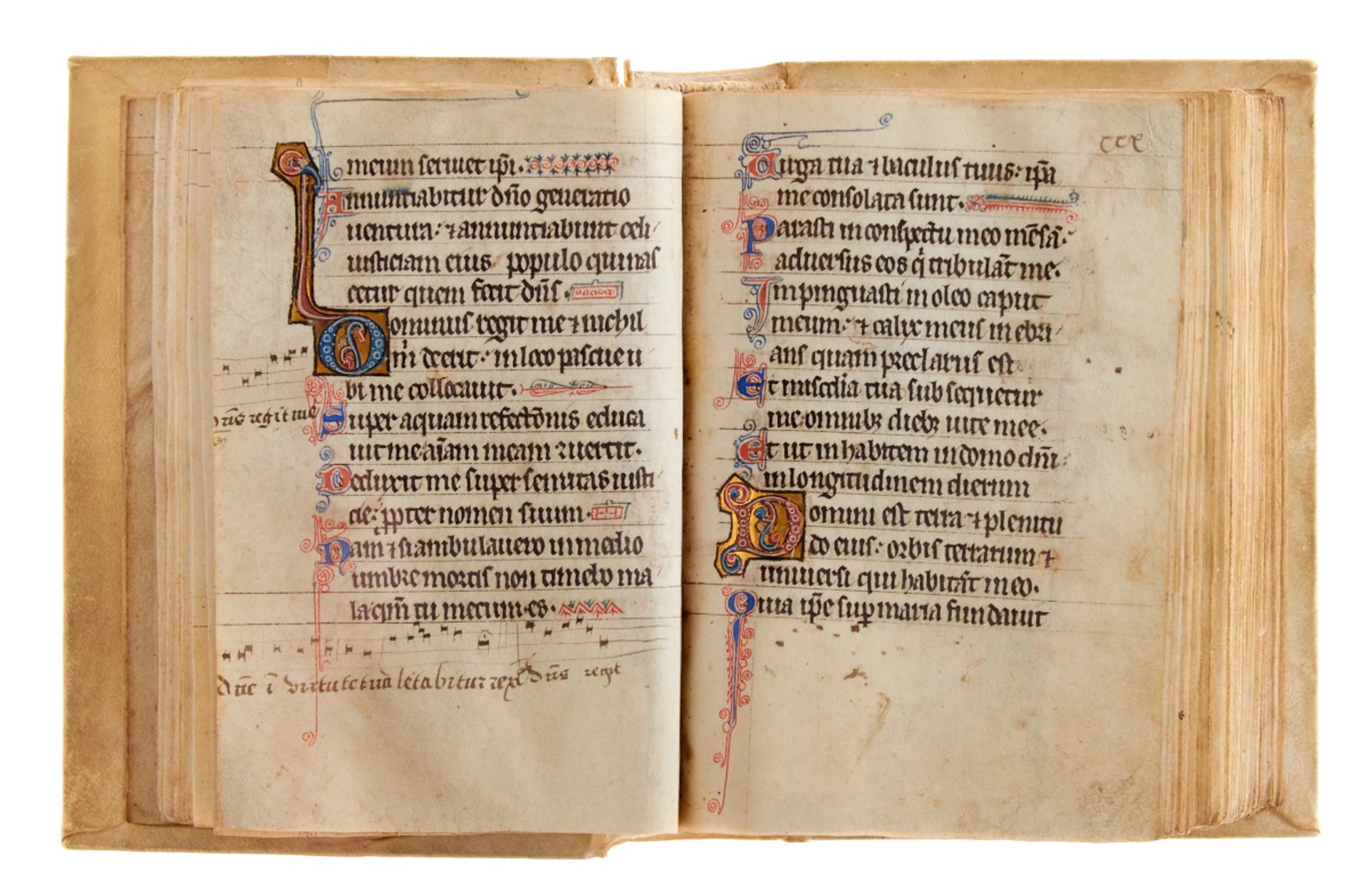 Psalter - Lateinische Handschrift auf Pergament. - Bild 14 aus 31