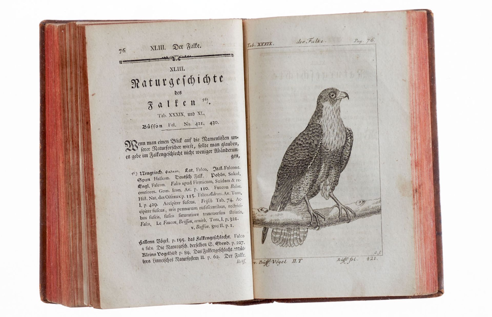 - Buffon, (G. L. L. de), Naturgeschichte der Vögel. - Image 3 of 3