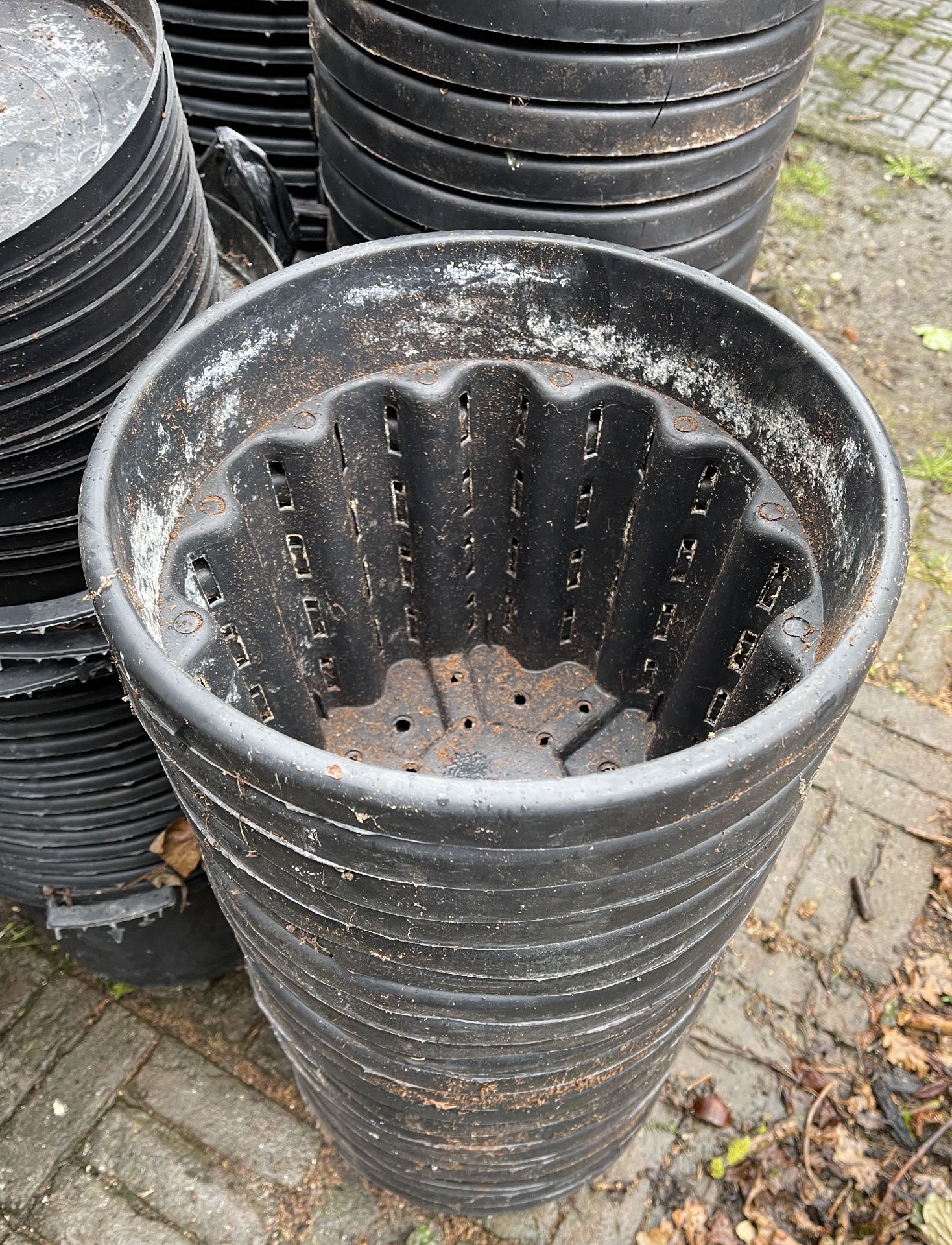 HUGE AMOUNT OF PLASTIC PLANTING POTS FROM SHUT DOWN GROW OPERATION - Image 4 of 5