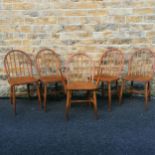 Five Ercol dining chairs including one carver