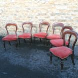 Set of 6 chairs with pink velour seatpads with gold trim - 88cm high