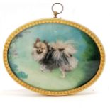 Miniature painting of a Pomeranian dog in an oval frame with domed glass 12cm x 9cm Condition