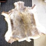 Reindeer skin rug - 120cm x 110cm ~ moulting