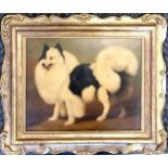 Antique oil painting on millboard of a black and white dog with monogram to lower right - 73cm x