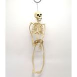 Vintage plastic skeleton - 62cm