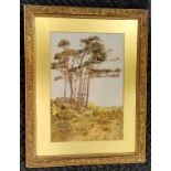 Original gilt framed watercolour study of trees on Woodbury common - 57cm x 73cm ~ some losses to