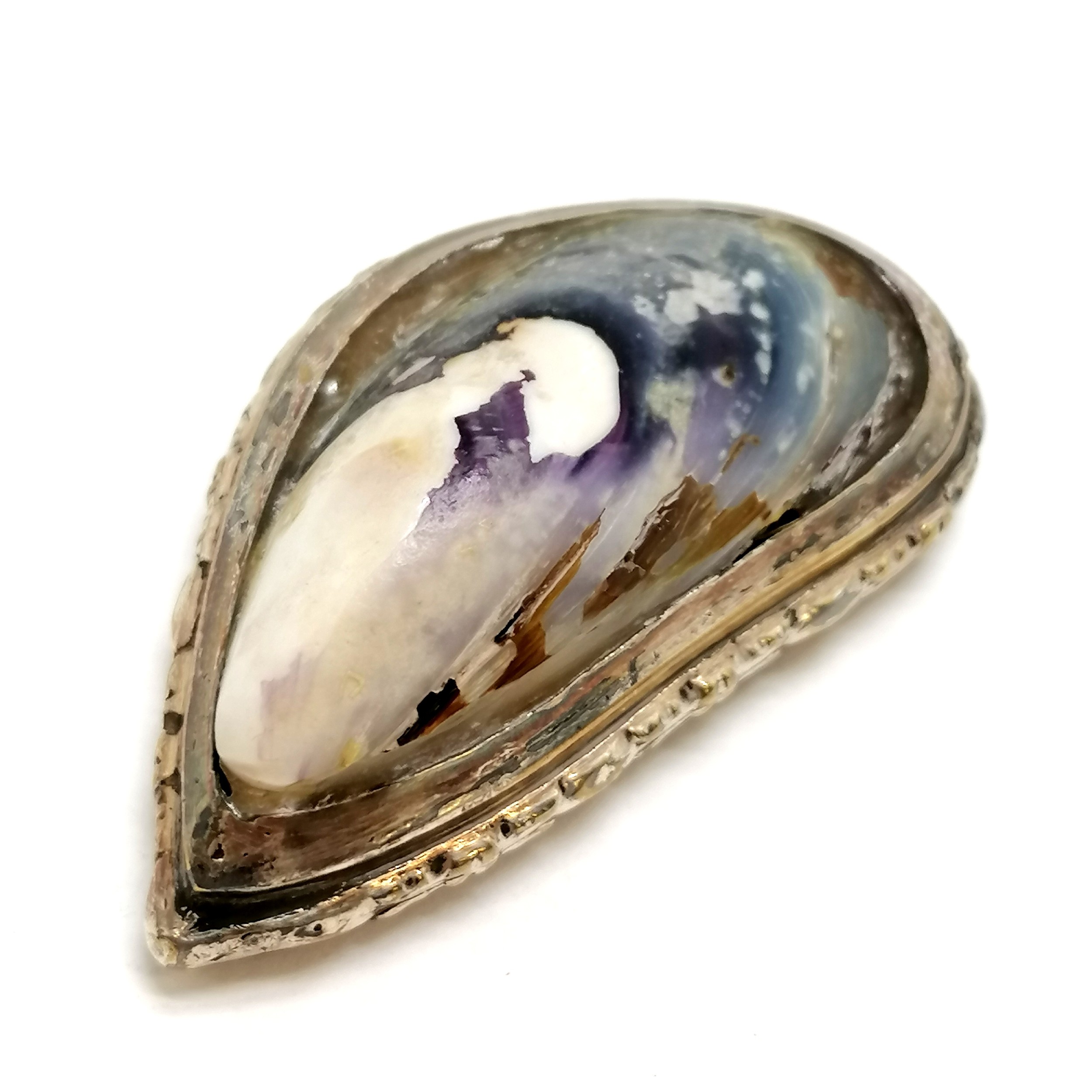 Antique snuff box fashioned from a mussel shell with silver plated mounts (6cm across & has old glue - Image 4 of 6