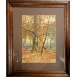Framed 1906 watercolour painting of some trees by G H Peet - 58cm x 48.5cm