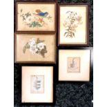 3 x framed antique botanical studies t/w 2 x framed crests - George & Robert Tomlinson - largest