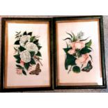 Framed pair of antique Oriental Watercolours on Rice paper, red and white Peonys each with Butterfly