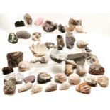 Qty of fossils, rock samples, shells inc fish & shell fossil, quartz sample etc