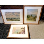 3 x framed watercolour paintings inc Ivy Fish, W Godden & 1 unsigned - largest 54cm x 44cm