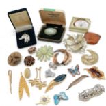 Qty of costume brooches inc Wedgwood, flowers, horses head, plume of feathers, butterflies, wooden