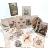 Qty of antique mostly hand tinted prints of birds / flowers / animals / frog / Mrs Salmon's Fleet