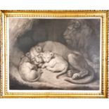 Framed 1793 mezzotint 'Lioness and whelps : whelped in Tower of London in 1792' by Richard Earlom (