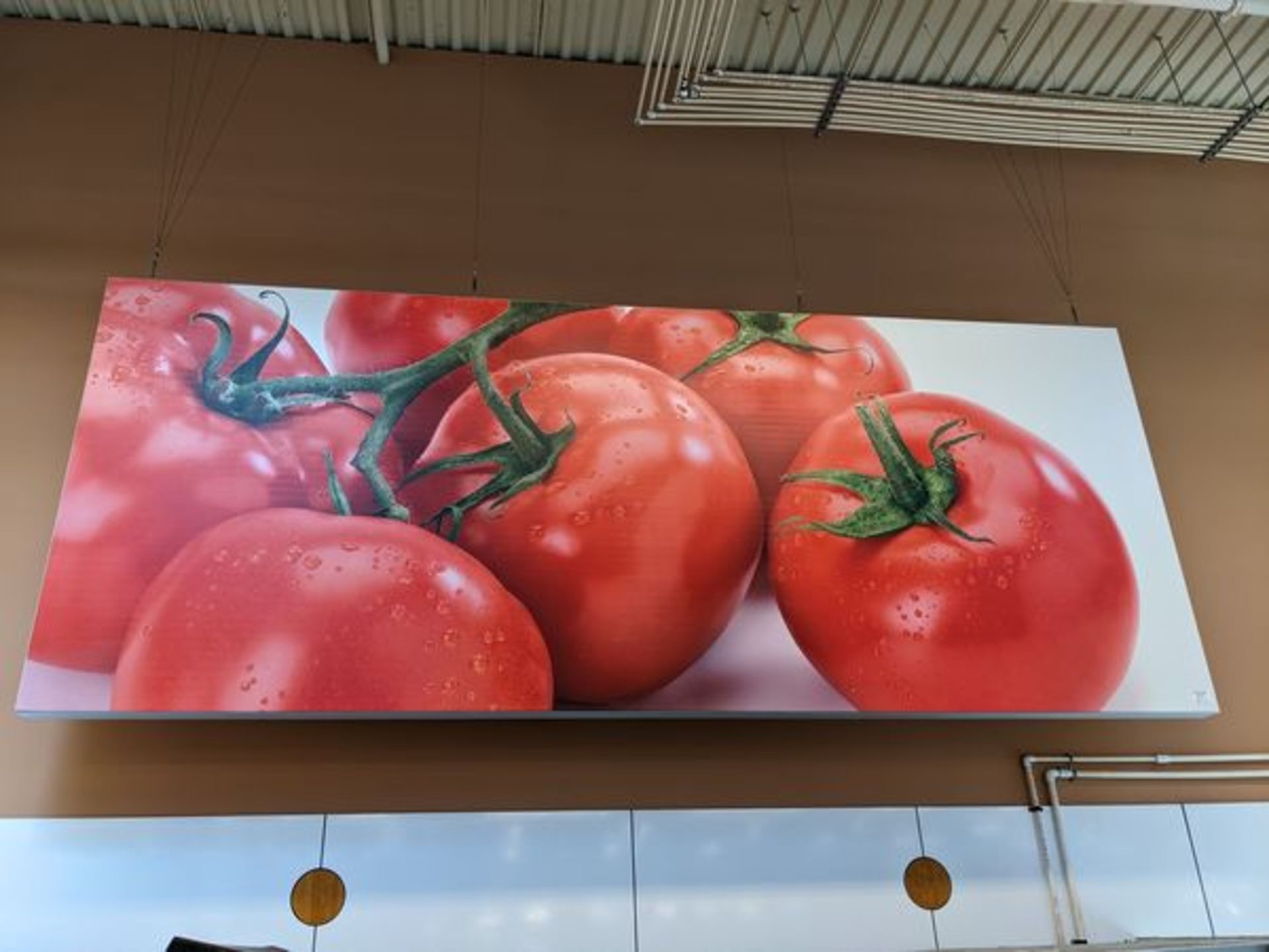 5 x 15 ft Aluminum Framed Tomato Print