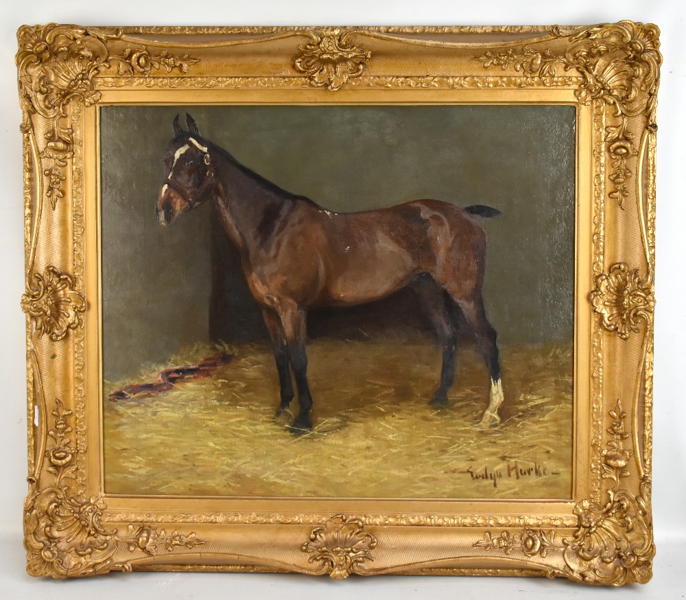 EVELYN HARKE (FL.1897-1919); oil on canvas, study of a hunter in a stable, signed, 50 x 60cm,