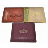 CHICAGO 1893; three gallery albums with photographs depicting the Columbian Exposition, all with