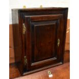 An 18th century oak wall mounted spice cupboard, with single panelled door, 61x48cm.