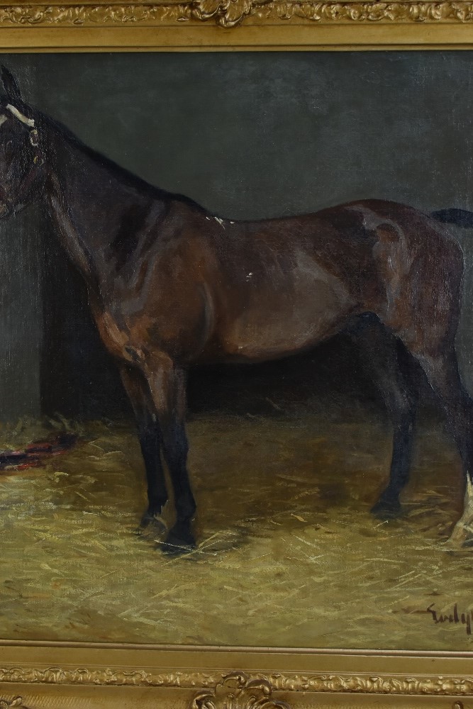 EVELYN HARKE (FL.1897-1919); oil on canvas, study of a hunter in a stable, signed, 50 x 60cm, - Bild 4 aus 7