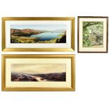 MICK VINEY; watercolour depicting a gate, another watercolour and a photograph of Derwent Water,