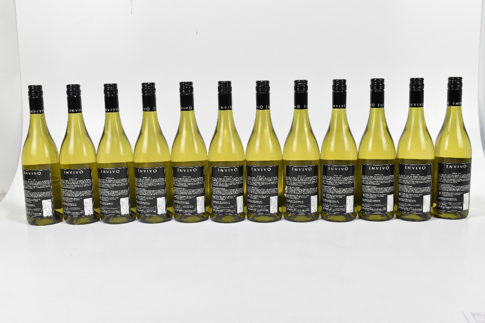 WHITE WINE; twelve bottles 2010 Invivo Sauvignon Blanc Marlborough (12). - Image 2 of 3