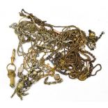 A small group of assorted chains and fittings.