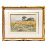 W. APPLETON; watercolour, 'Bracegirdle Farm, Withington', signed and dated 1903, 22 x 31.5cm, framed