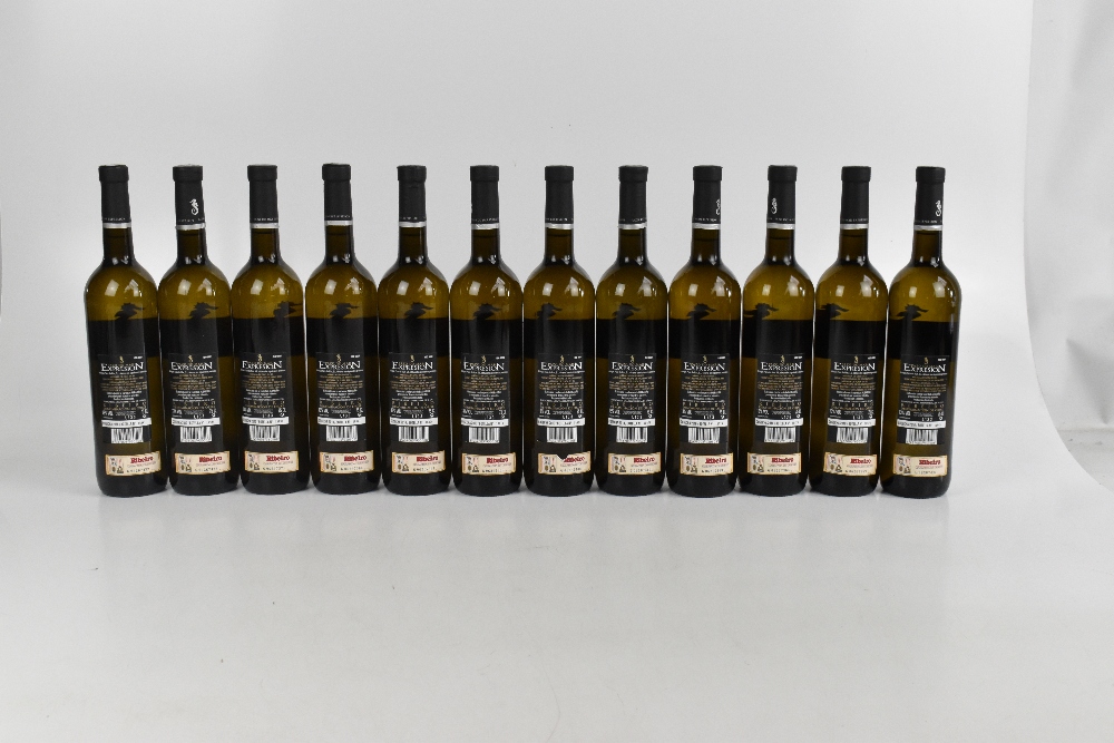 WHITE WINE; twelve bottles 2010 Pazo do Mar Expresion Albarino (12). - Image 3 of 3