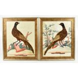 A pair of 19th century bird feather and watercolour pictures, representing exotic birds in landscape