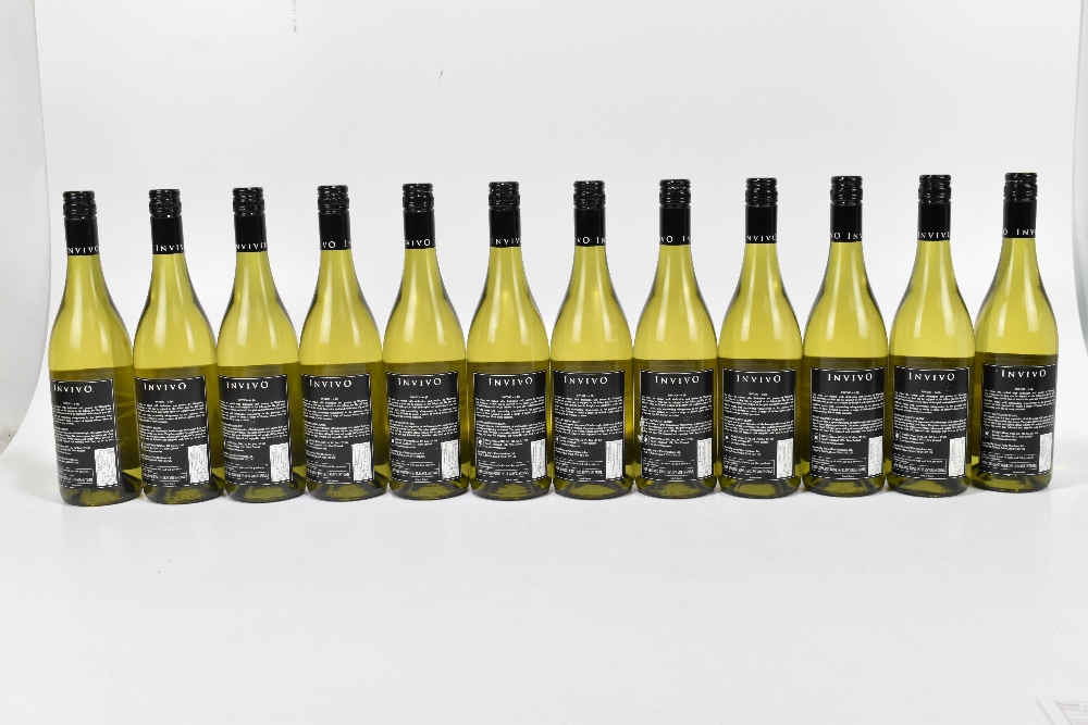 WHITE WINE; twelve bottles 2010 Invivo Sauvignon Blanc Marlborough (12). - Image 3 of 3