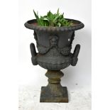 A cast iron twin handled garden urn, with swag detailing, height 62cm.