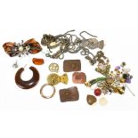 A small group of costume jewellery including brooches, earrings and necklaces.