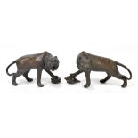 A pair of Japanese bronze tigers, unsigned, the longest 23cm.