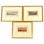 IN THE STYLE OF AUGUSTUS OSBORNE LAMPLOUGH; a set of three watercolours, unsigned, largest 16 x 6cm,