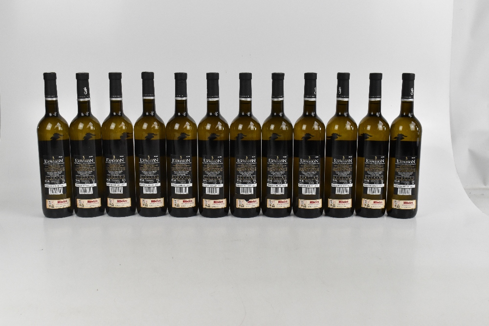 WHITE WINE; twelve bottles 2010 Pazo do Mar Expresion Albarino (12). - Image 2 of 3