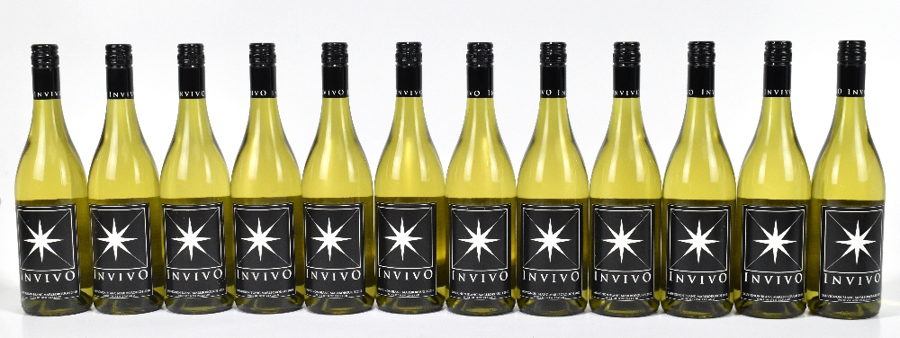 WHITE WINE; twelve bottles 2010 Invivo Sauvignon Blanc Marlborough (12).