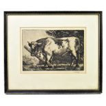 CHARLES FREDERICK TUNNICLIFFE (1901-1979); etching, ‘The Tethered Bull’, signed lower right, 17 x