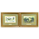 MICHAEL JAMES YULE; a pair of watercolours, 'Golden Crested Wrens' and 'Blue Tits', each signed