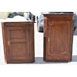 An 18th century oak hanging corner cupboard with moulded cornice above single panelled door and