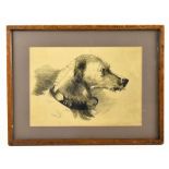 JOSEPH CRAWHALL (1861-1913); pencil drawing, study of a wolfhound, signed and dated 1874, 21.5 x